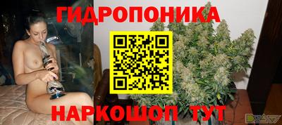эйфоретик Будённовск